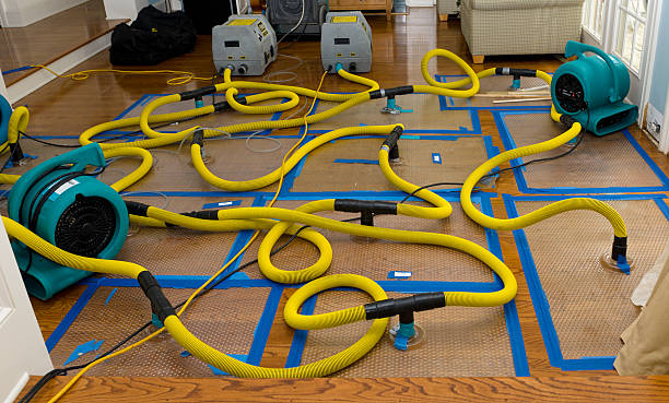 Professional Storm Water Damage Restoration technician working in West Liberty, OH