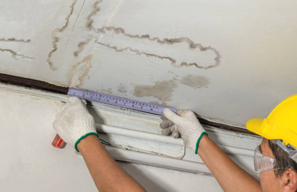 Affordable Water Damage Repair solutions in West Liberty, OH